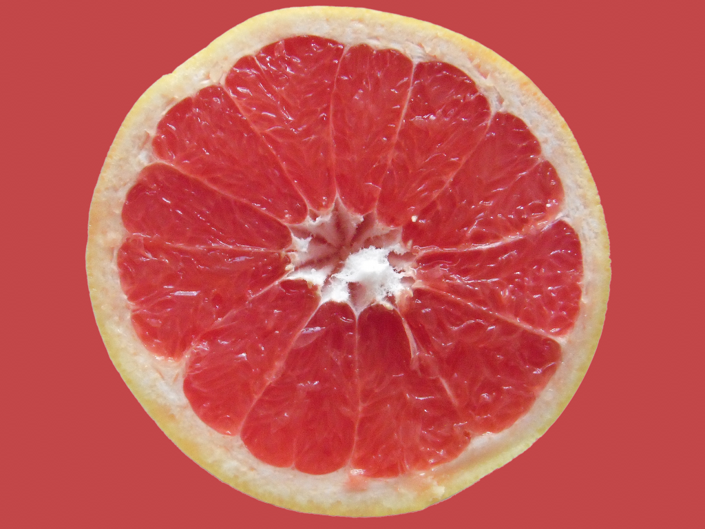 Grapefruit im Querschnitt