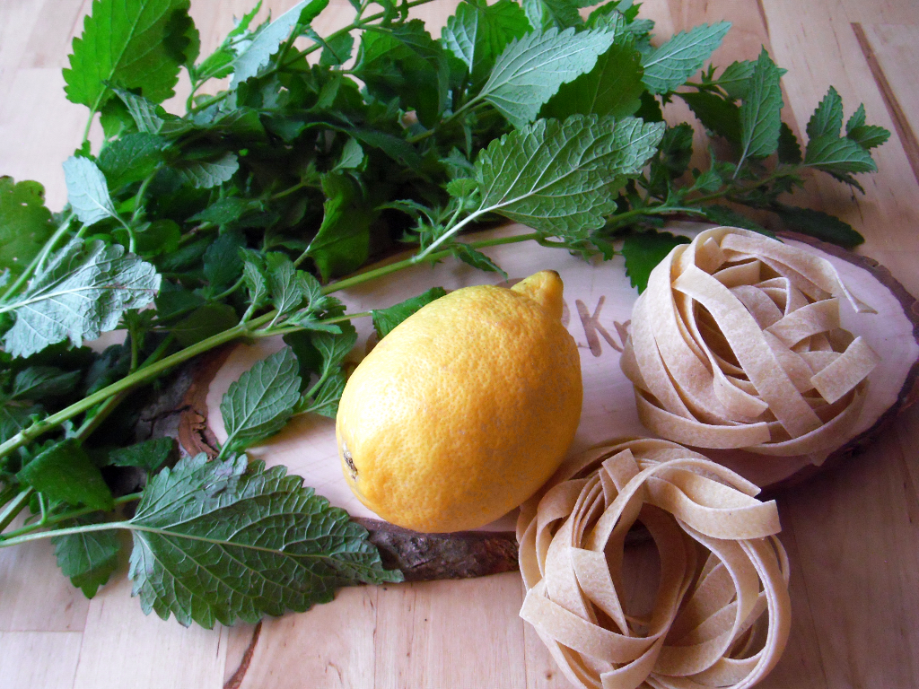Melisse, Zitrone, Tagliatelle