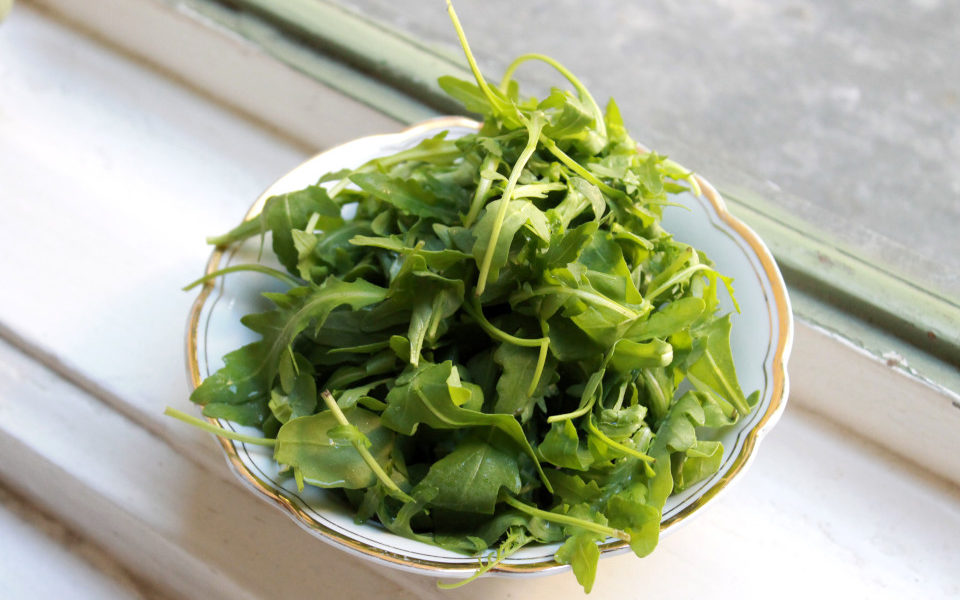 Rucola in einer Schüssel